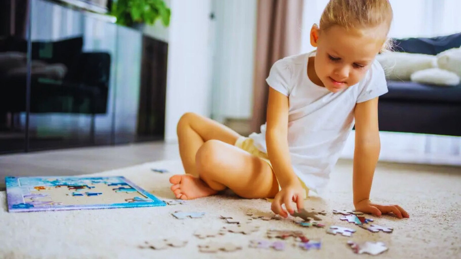 24 Piece Puzzle vs 12 or 48 Pieces Which Is Right