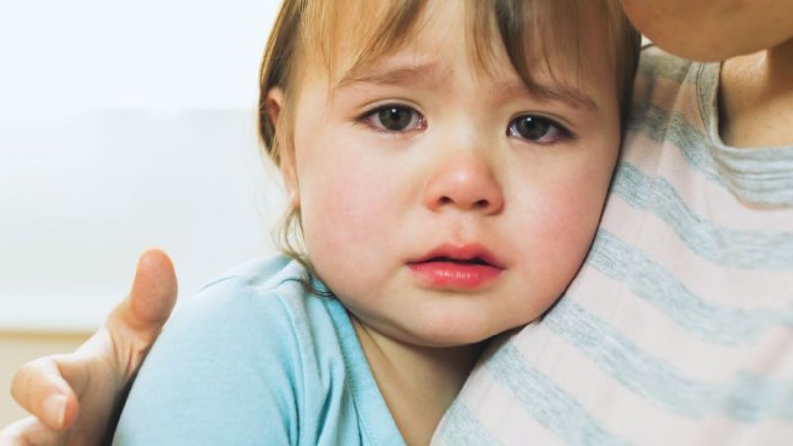 Learning Cause and Effect