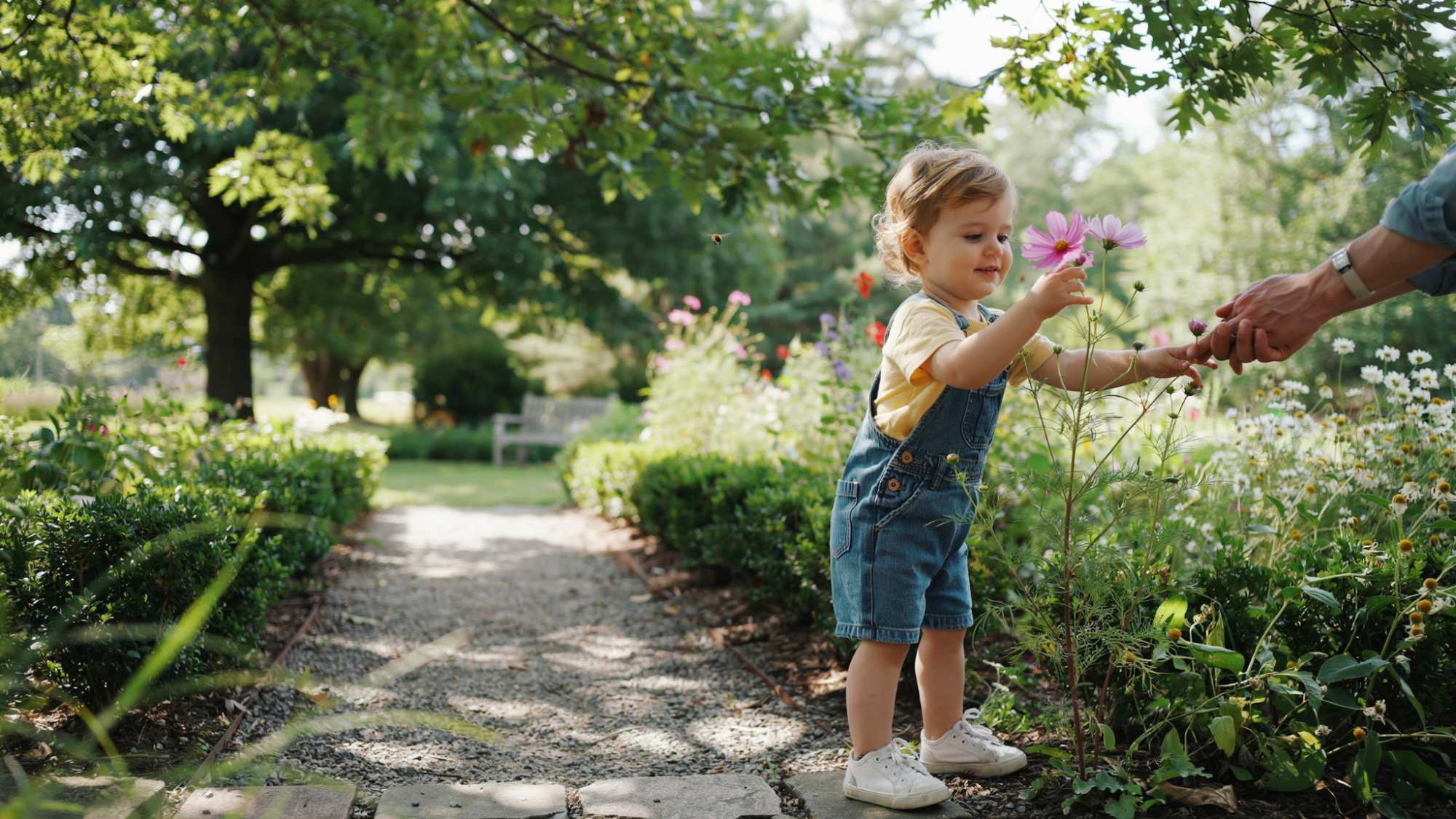 Toddler exploring nature during a gentle outdoor walk.