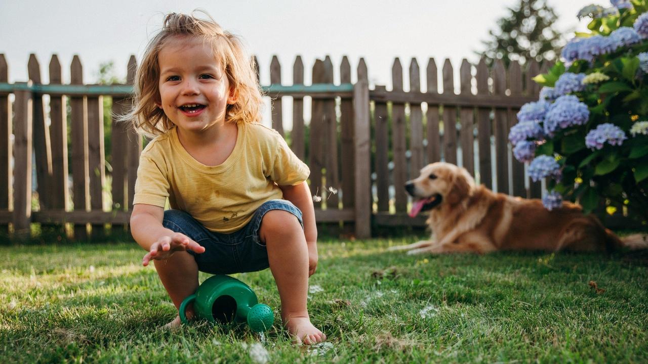 Toddler boy with messy long hairstyle.