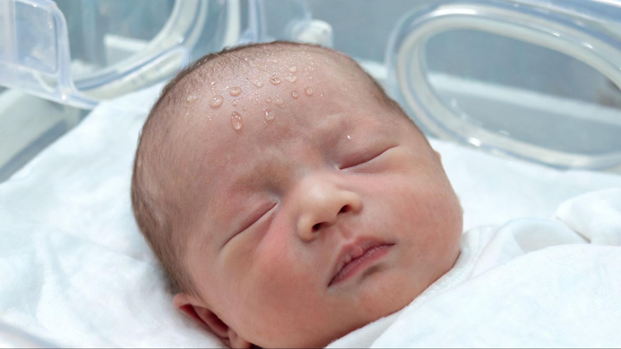 Premature baby resting on their back in a NICU incubator 