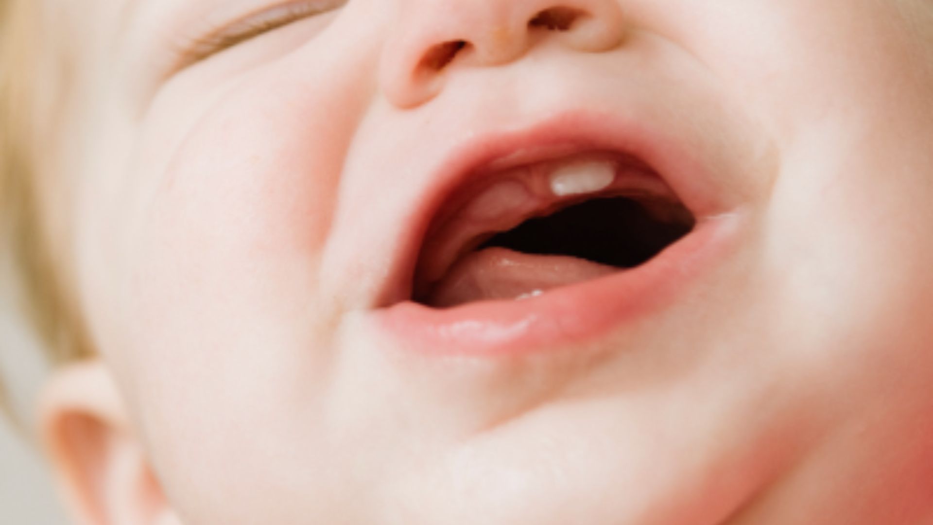 Close-up of a baby's open mouth showing a single upper baby tooth with gums and lower lip visible