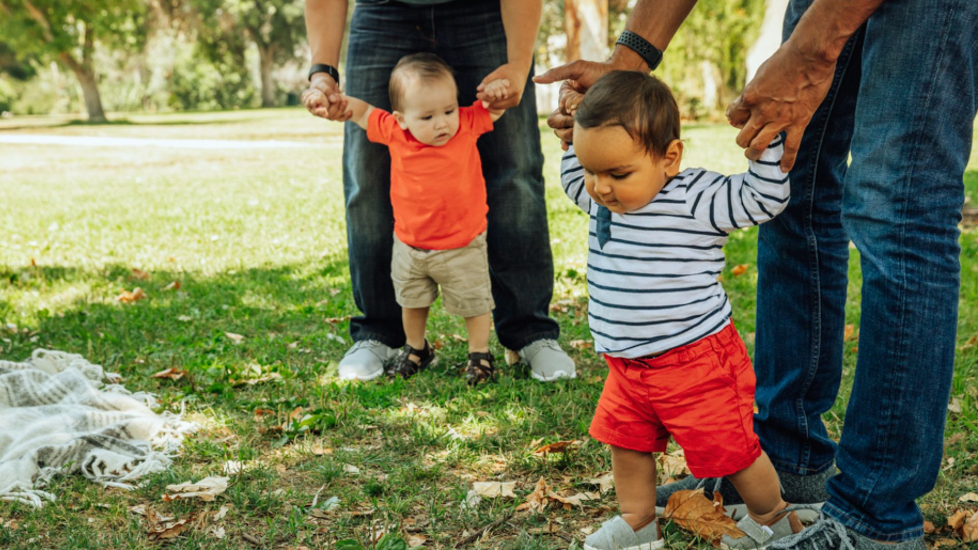 Two toddlers learning to walk on grass in park while holding adults' hands