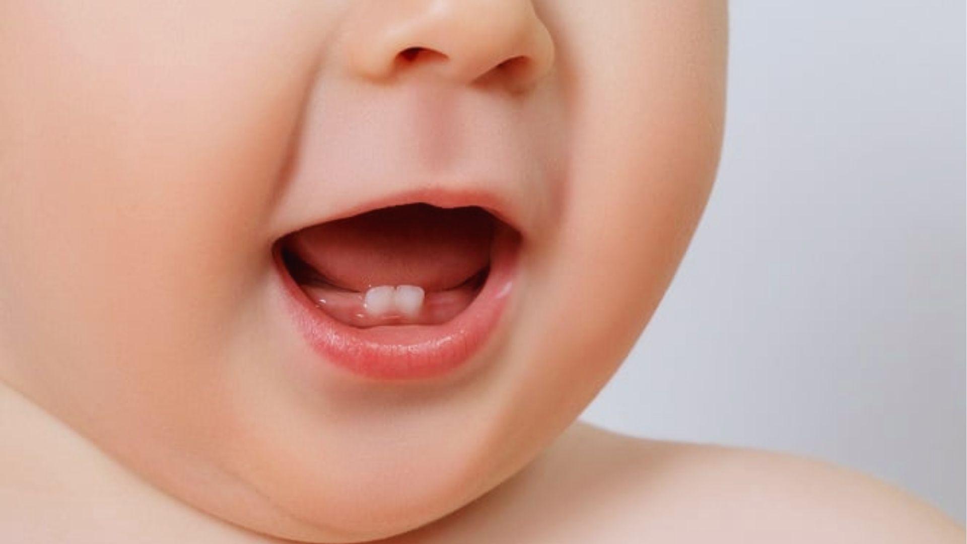 Close-up of an infant's front lower incisors