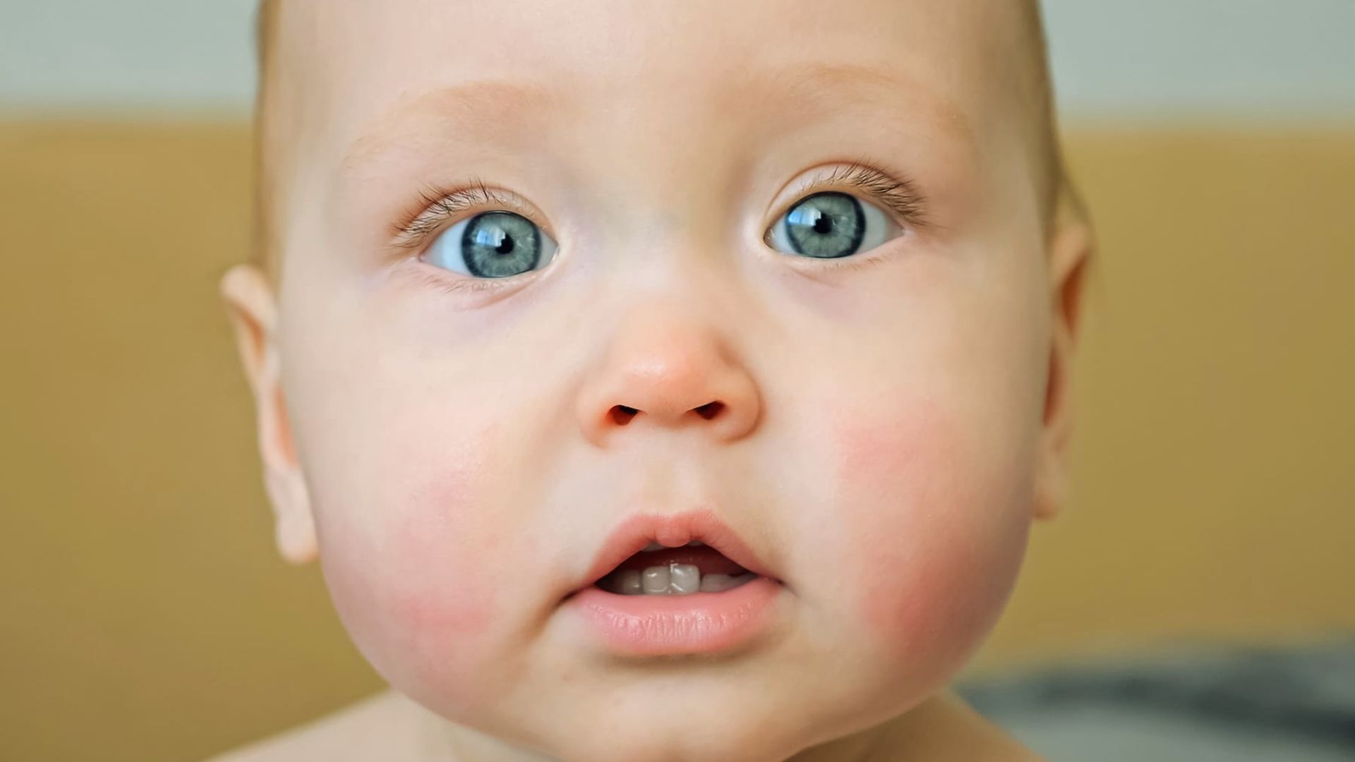 Close-up of baby with big blue eyes, rosy cheeks, and tiny front teeth slightly visible