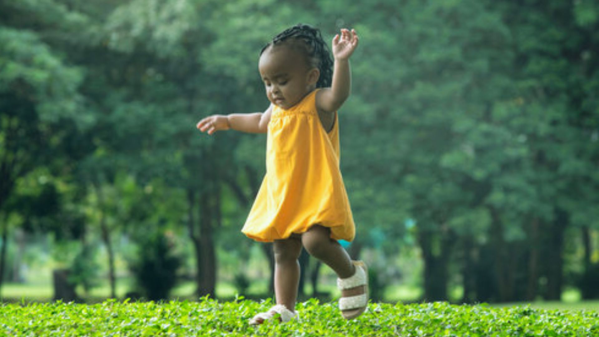 Toddler in yellow dress balancing while walking on green grass in park with trees