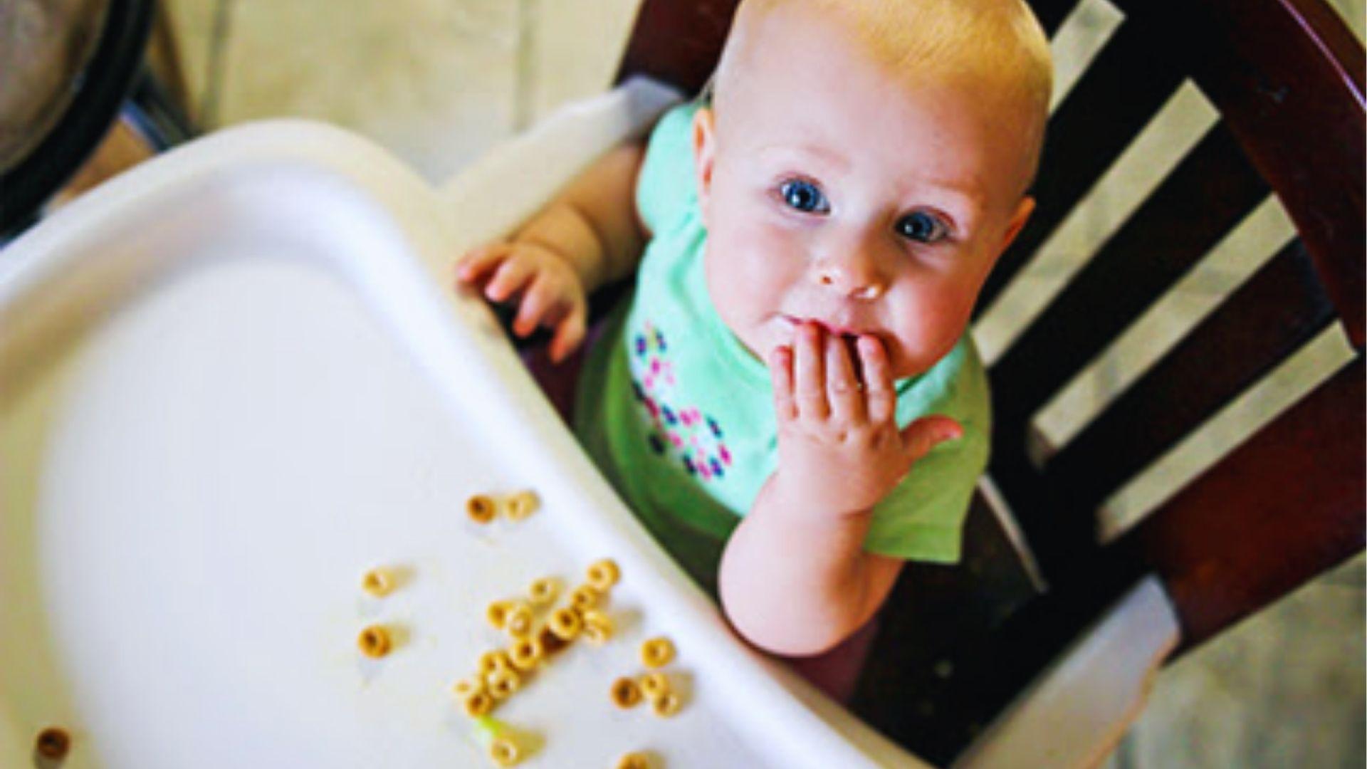 A baby consuming cheerios