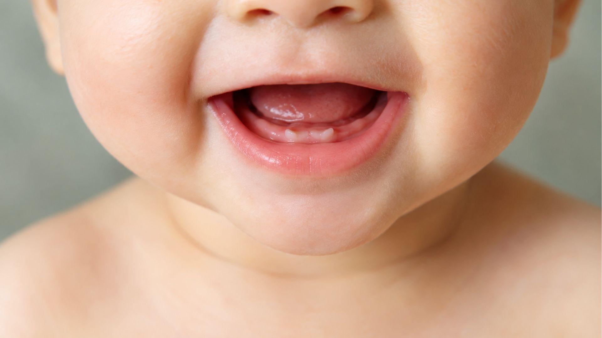Close-up of a baby's mouth with newly emerging lower front teeth.